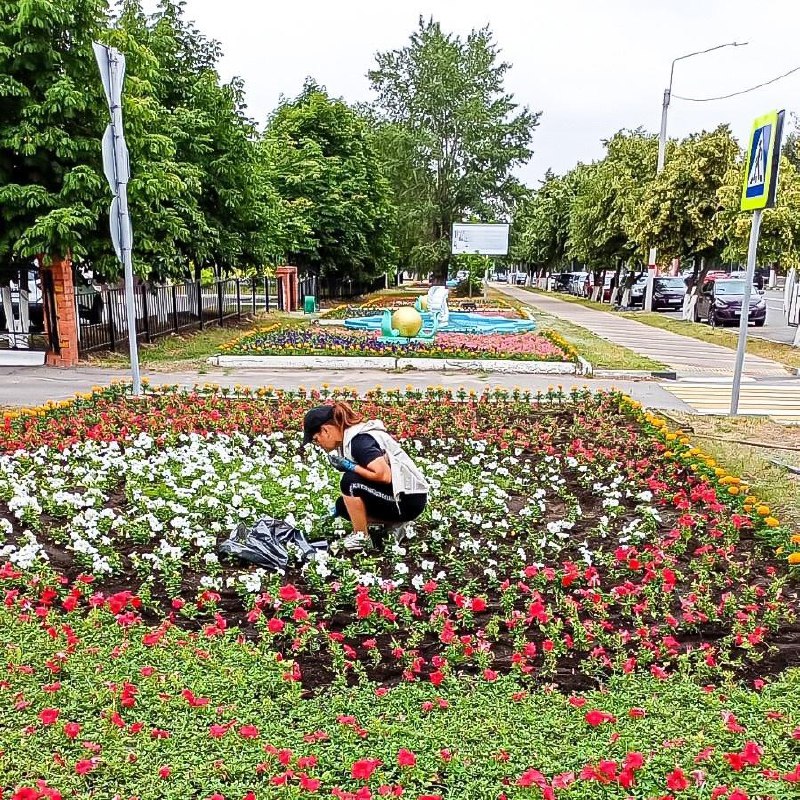 Содержание городских клумб..