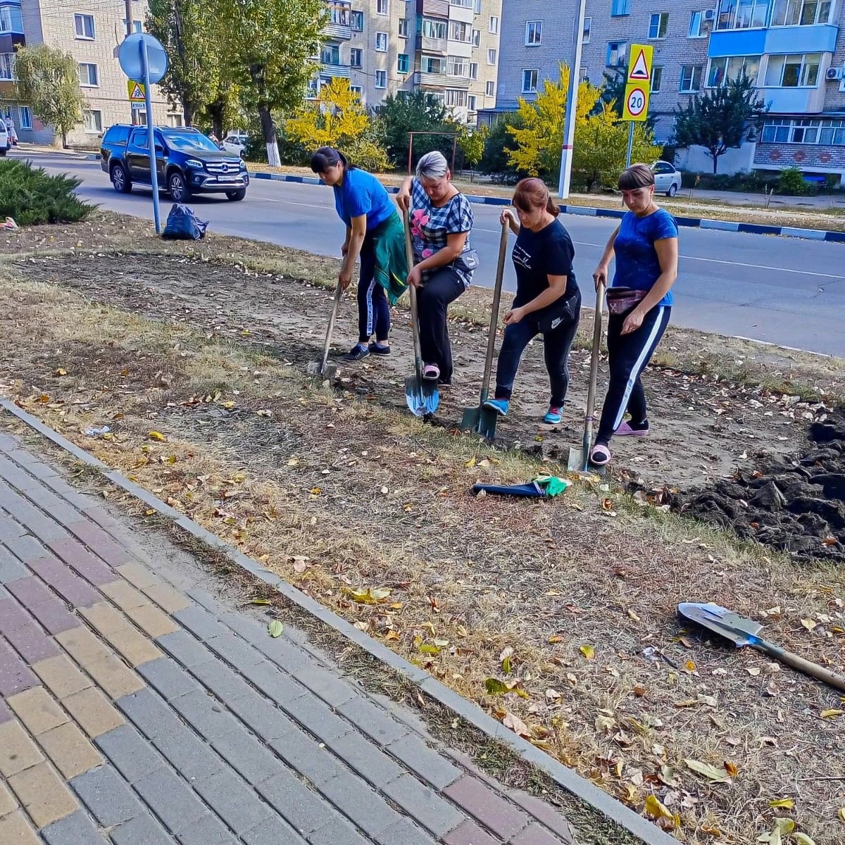 В городе готовят к зиме территории общего пользования..